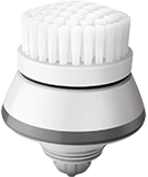 Cleansing brush